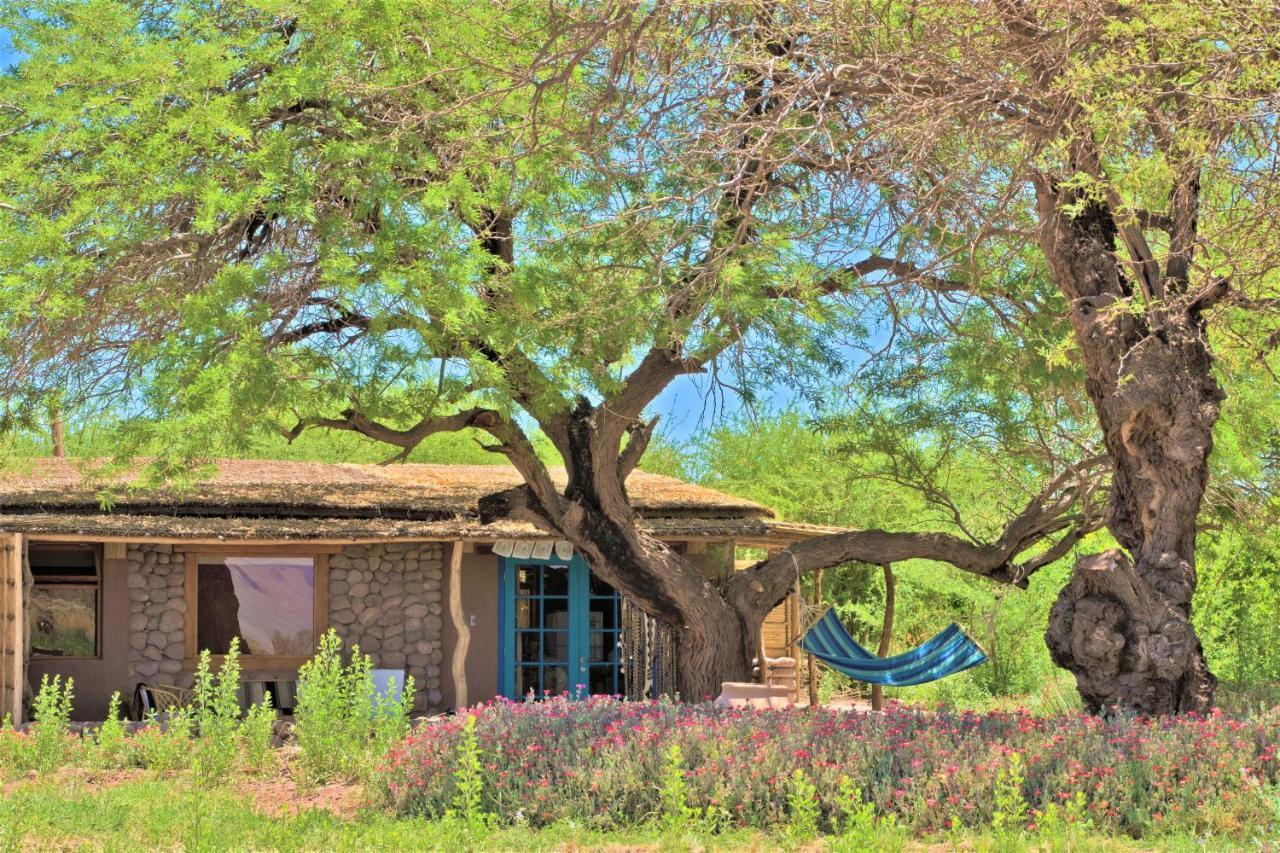 Casita La Brea Villa San Pedro de Atacama Dış mekan fotoğraf