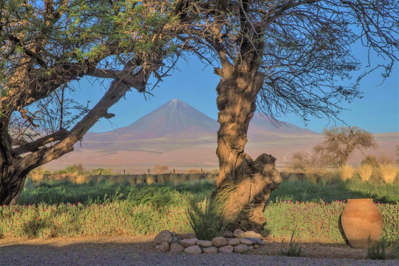 Casita La Brea Villa San Pedro de Atacama Dış mekan fotoğraf